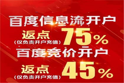 搜索引擎营销（SEM）的投放策略与效果评估——以某行业领先企业的案例分析